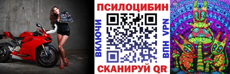 Псилоцибиновые грибы GOLDEN TEACHER  Абаза 